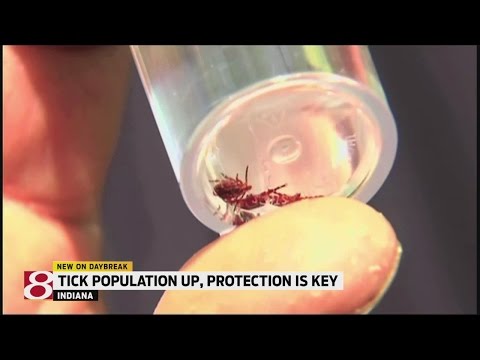 Tips on how to prevent tick bites, remove ticks & spot symptoms
