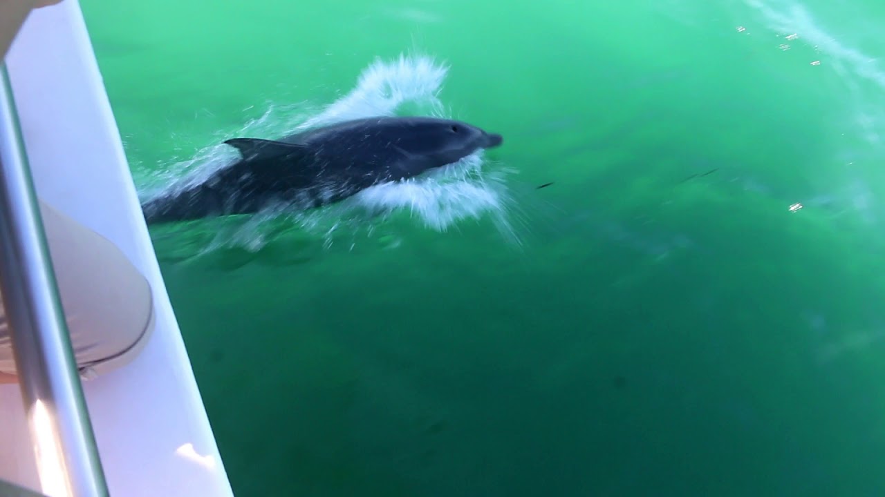 One day trip to Nelson bay