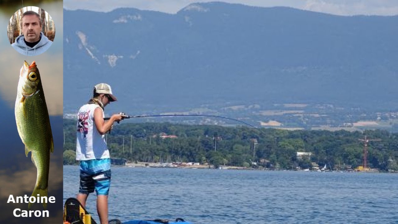 Techniques Infaillibles pour Pêcher le Brochet en Pélagique : Astuces et Conseils