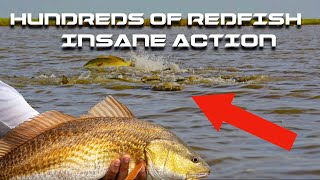 CHASING schools of REDFISH in a TEXAS RIVER! (CRAZY ACTION)