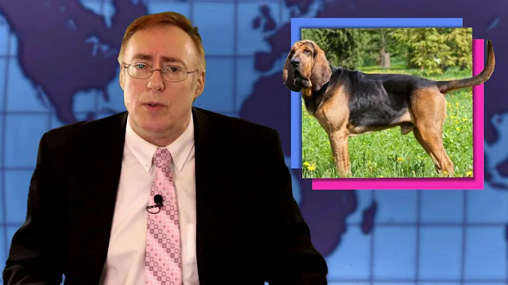 ABZToday YouNews with Brian McKaig