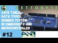Concept of Data Types, Variables and ASCII Table in Embedded C, Microcontroller, C/C++