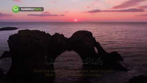 Surah Al Jin سورة الجن Abu Usamah Syamsul Hadi