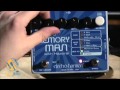 Electro Harmonix Stereo Memory Man With Hazarai Tapping Into The Looper Functions 