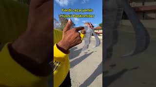 Hüsnü Başkomiser Ferdiye Ceza Yazmış Arkadaşlar