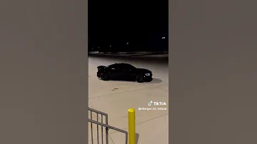 اشيل كلبي اذبه تعبني الله يتعبه 
