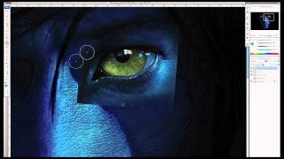 Birth of an AVATAR