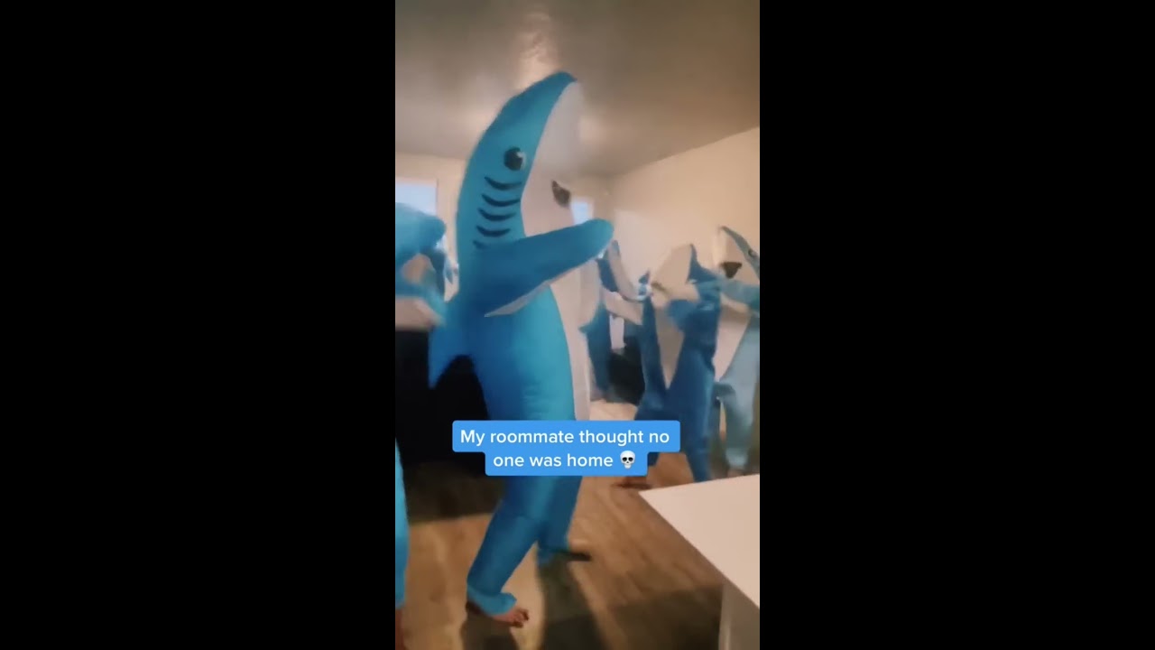 10th Cameraman Joins DancingSharks LeftShark KatyPerry Shark SharkGuy CaliforniaGurls