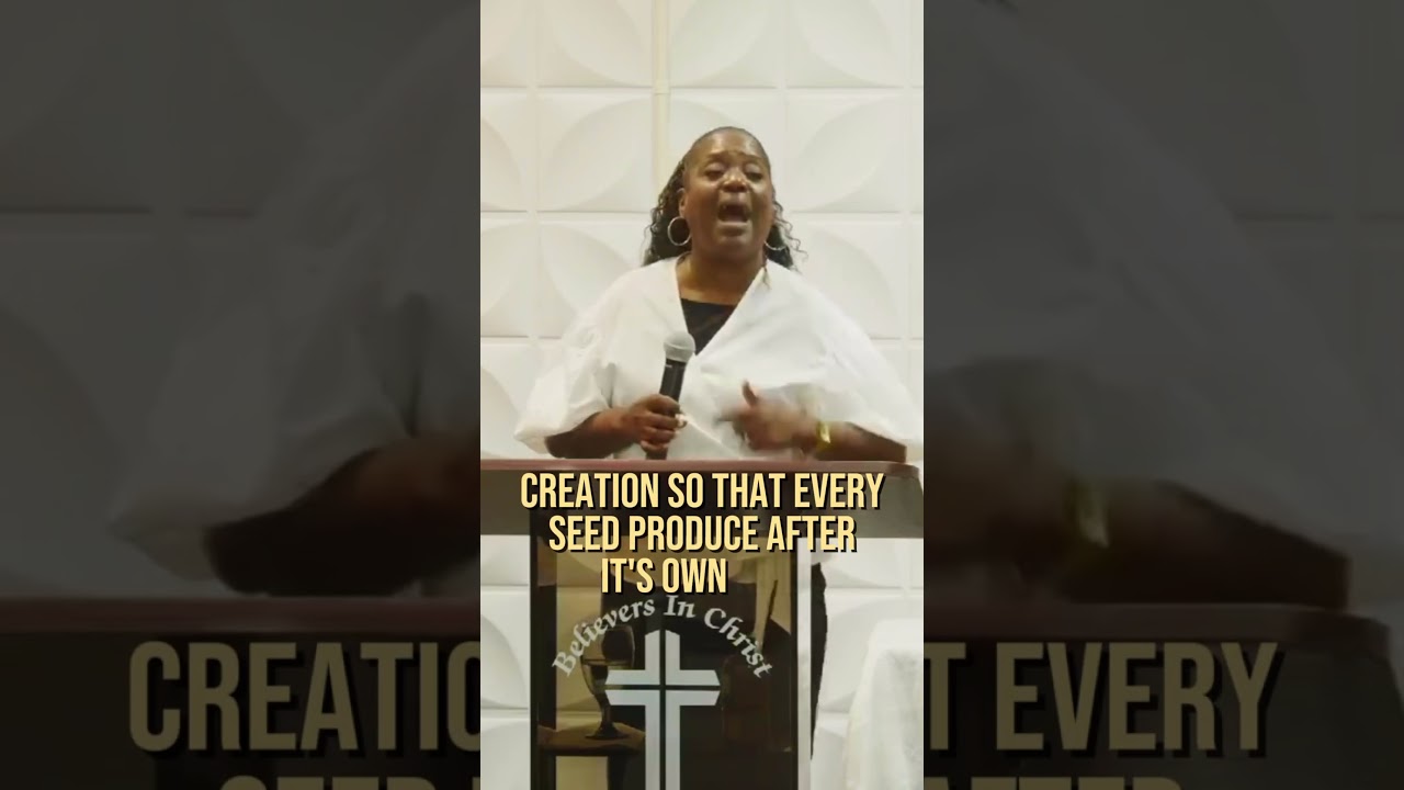The Seed, The Harvest & The Fruit (Recap) #bicm #youtubeshort #inspiration #motivation