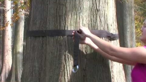 Nags Head Hammocks : How to Install Your Tree Straps