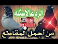 معلومات مفيده عن التار رد علئ اغلب الاسئله اتمنئ تتابعو الفيديو للنهايه للفائده