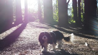 January walk
