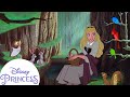 Aurora&#39;s Forest Friends | Sleeping Beauty | Disney Princess