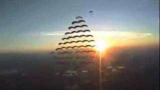 80 Parachute Diamond