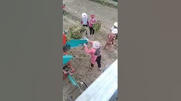 Phil filter king big peanut picker machine,09178199836