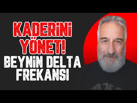 Video: Delta, Yolcu Köpeğini Kaybetti, İşte Onlar Hakkında Ne Demek Gerekir?