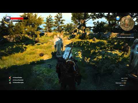 The Witcher 3