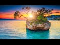 Relaxing Music 24/7, Stress Relief Music, Calm Music, Sleep Music, Meditation Music, Study, Relax