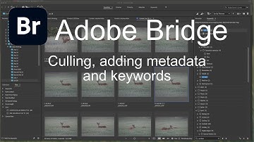 Using Adobe Bridge for culling, adding metadata and keywords tutorial.