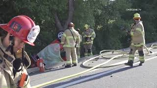 Motorcyclist Hits Deer, Driver Killed Turning Around in Bizarre Series of Crashes