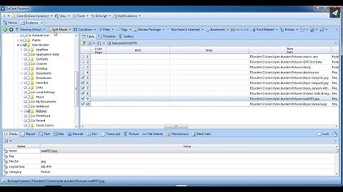 EnCase Forensic v7 Evidance Processor