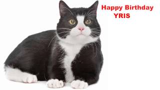 Yris  Cats Gatos - Happy Birthday