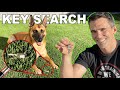 Key search trained in one day dog training