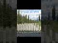 Deer Jumps Out of Nowhere! Caught on Dashcam 🚗🦌 #wildlife #deer #dashcam