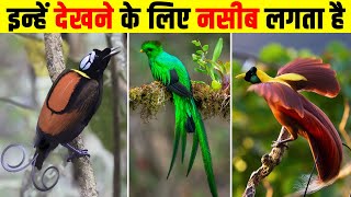 दुनिया के सबसे दुर्लभ पक्षी | Top 10 Rarest Birds in the World