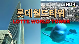Lotte World Tower Aquarium, show Seoul Sky quickly. [4K HDR]