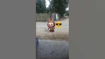 Labubu #funk #funkopop #remix #funko #music #funny #funkoanime #funkmusic #cute #musicgenre