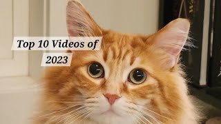 ✨ Walter's Top Ten Videos of 2023 ✨