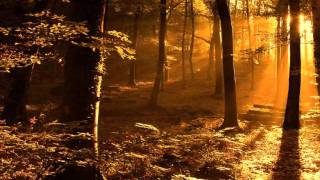 Porcupine Tree  Last Chance To Evacuate Planet Earth wmv