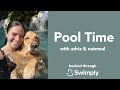 Pool time in newport beach pool pawty with adria and oatmeal pet friendly swimply pool rental