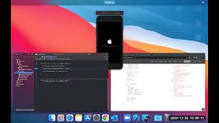 Lec 13 Weather App & API Ios Mobile Application development in Hindi/Urdu screenshot 2