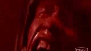 Schwarzenegger Screams in Total Recall