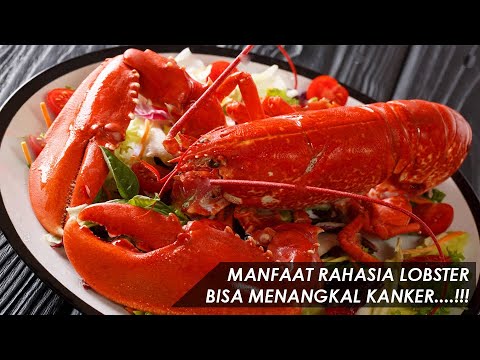 Video: Lobsters: Sog'liq Uchun Foydali Mahsulotlar Bilan Dengiz Mahsulotlarini Pishirish