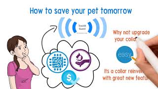 blue frog dog collar