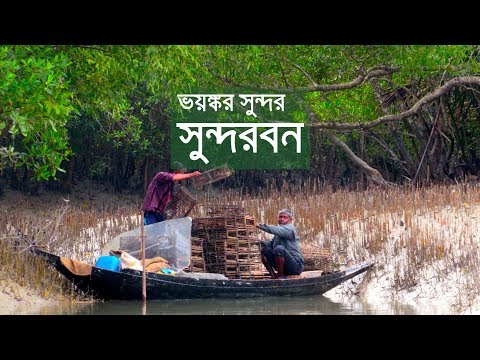 ভিডিও: কিভাবে একটি সাপ ধরতে হবে: 15 টি ধাপ (ছবি সহ)