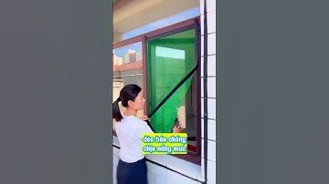 Tấm lưới chống ruồi muỗi, côn trùng dán cửa.