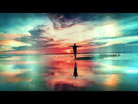 Whitewildbear - Bright