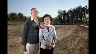 San Jose Park Dedicated To Iris Chang Could Be Delayed By Microsoft Project