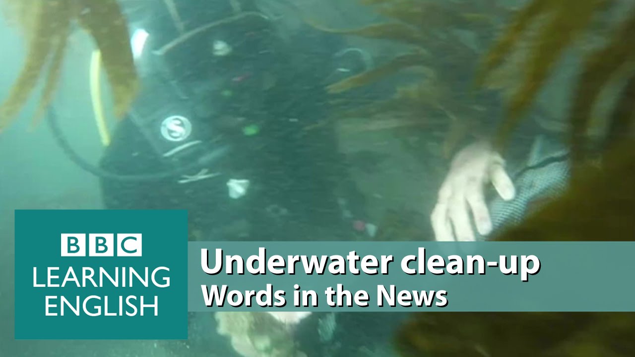 Underwater clean-up. Learn: divers, sinks, biodegradable, stretches, ecosystem