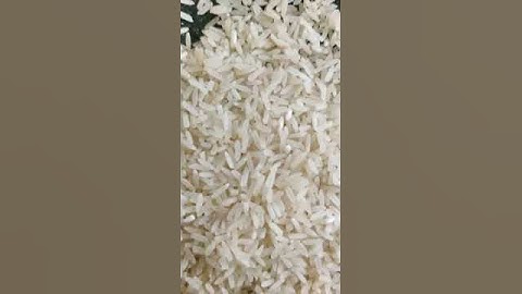 25% Broken Non Basmati Rice  #exportimport #grain #grainimports #food #agriculture #rice #longgrain