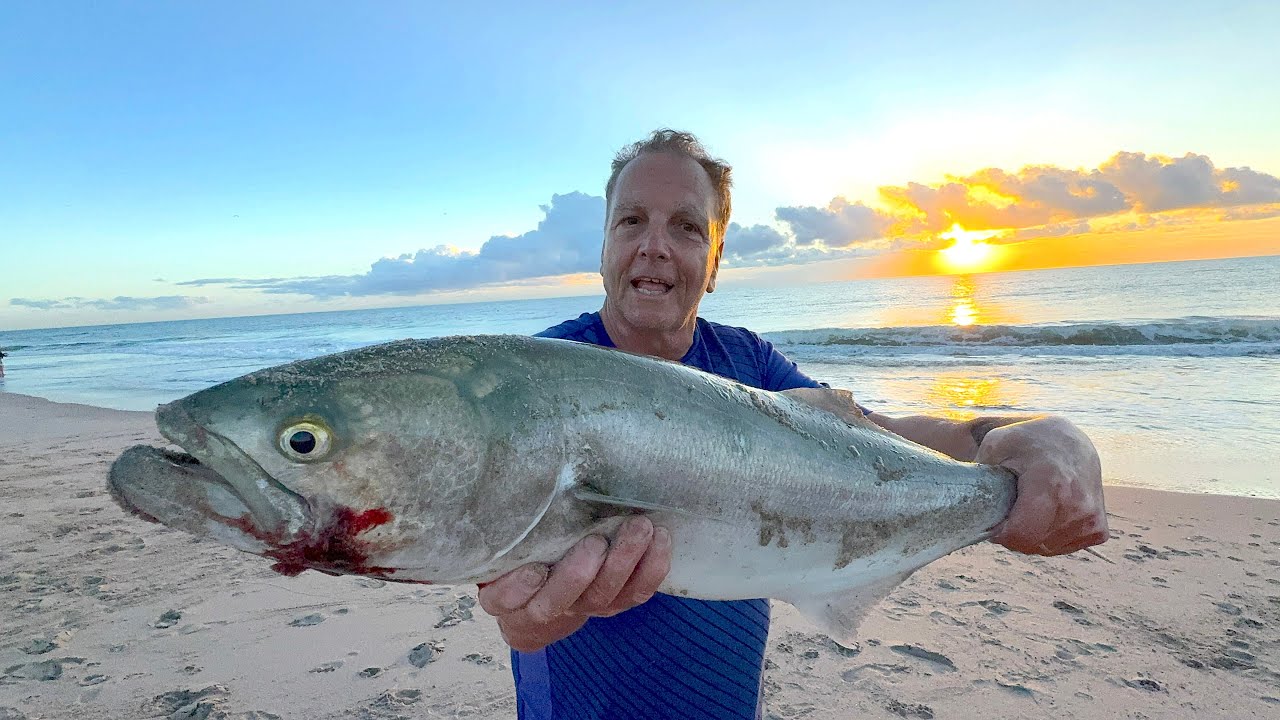 ГИГАНТСКАЯ ЛУКА НА ПЛЯЖЕ, КУСОК КЕФАЛИ ЗАЖИГАЕТСЯ