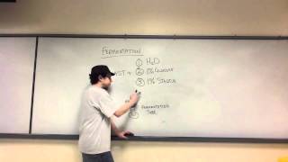 Lab Review - Fermentation (Unit 9 Respiration)