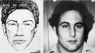 Serial killer 'Son of Sam' arrested in 1977 | From the Archives
