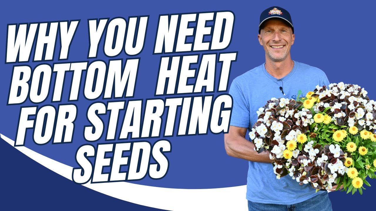 Why You Need Bottom Heat for Starting Seeds How to Use a Heating Mat