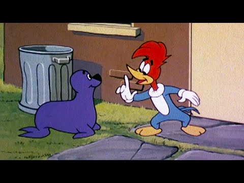 El Pájaro Loco | Mega Compilación Clásica Vol 15 | Caricaturas Retro Divertidas