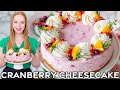 No-Bake Cranberry Orange Cheesecake - Perfect for the holidays!